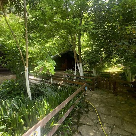Villa Syri Kalter Sarandë エクステリア 写真