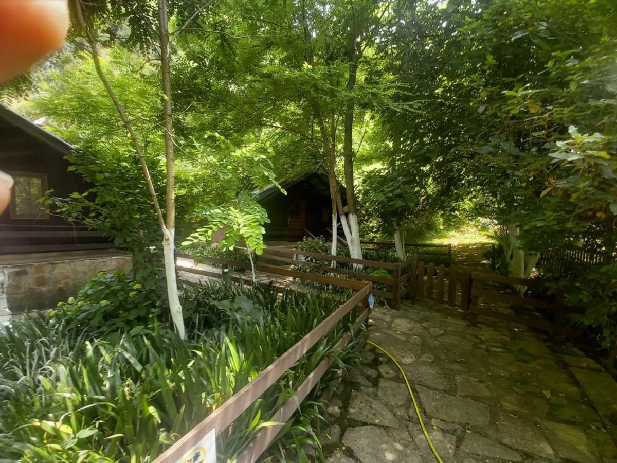Villa Syri Kalter Sarandë エクステリア 写真