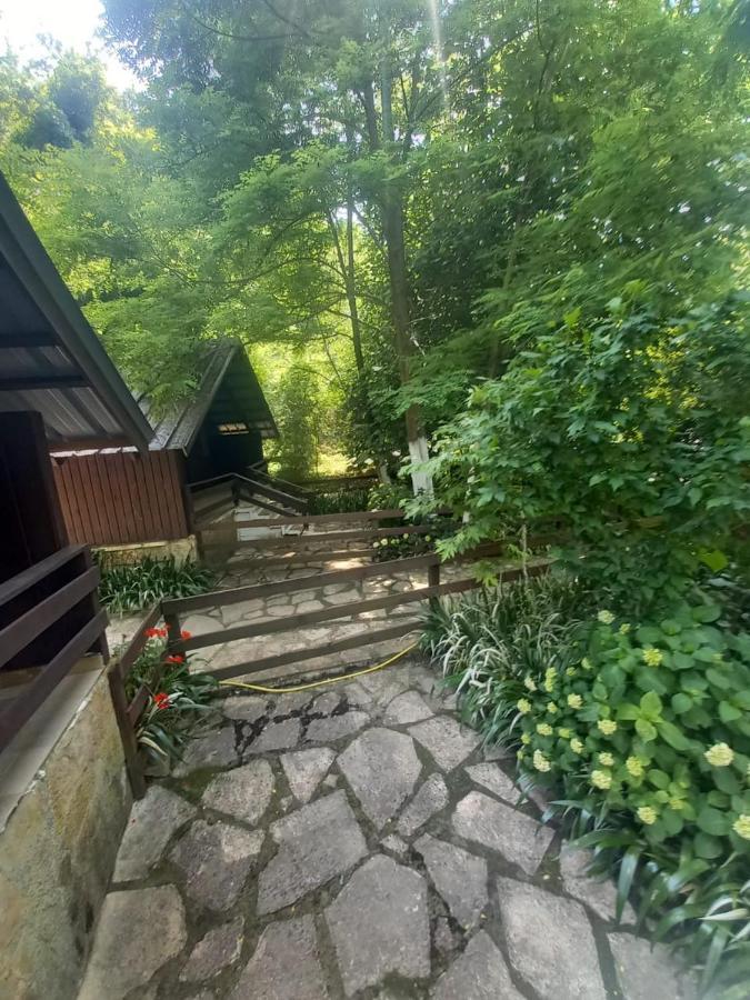 Villa Syri Kalter Sarandë エクステリア 写真