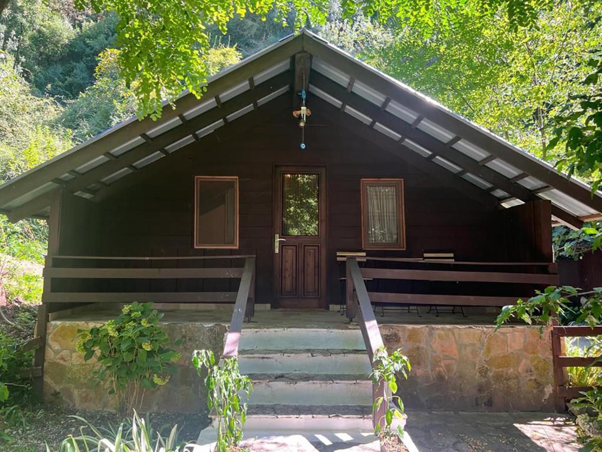 Villa Syri Kalter Sarandë エクステリア 写真